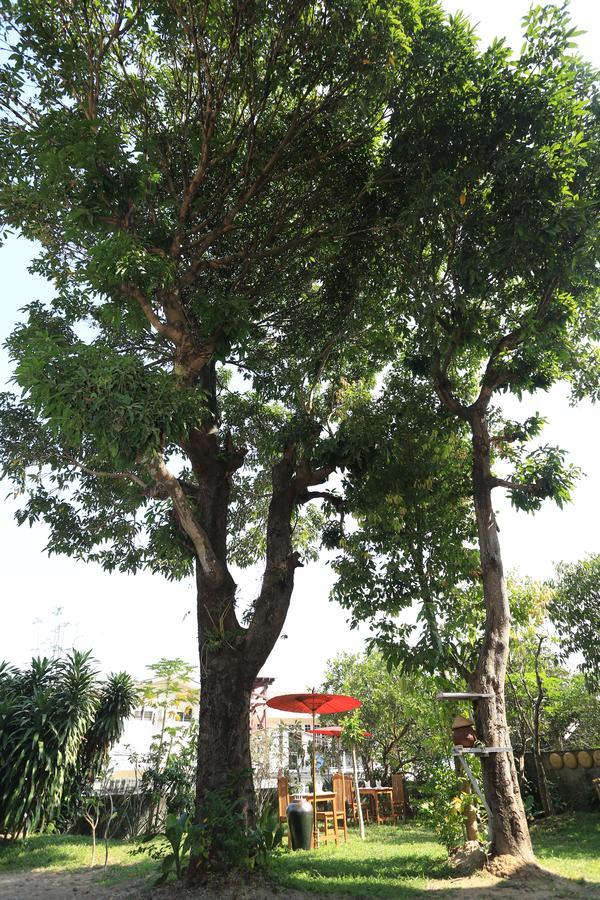 יאנגון Mango Hill Inn מראה חיצוני תמונה
